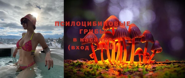 кокс Богданович